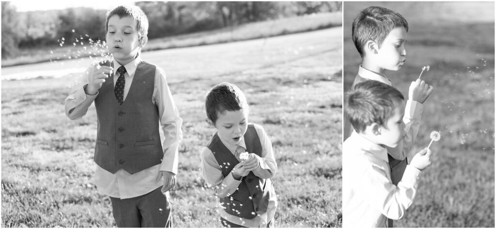 two boys blowing dandelions during their portrait session