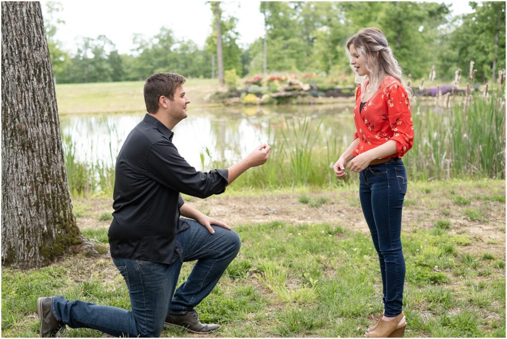 he got down on one knee for the surprise proposal