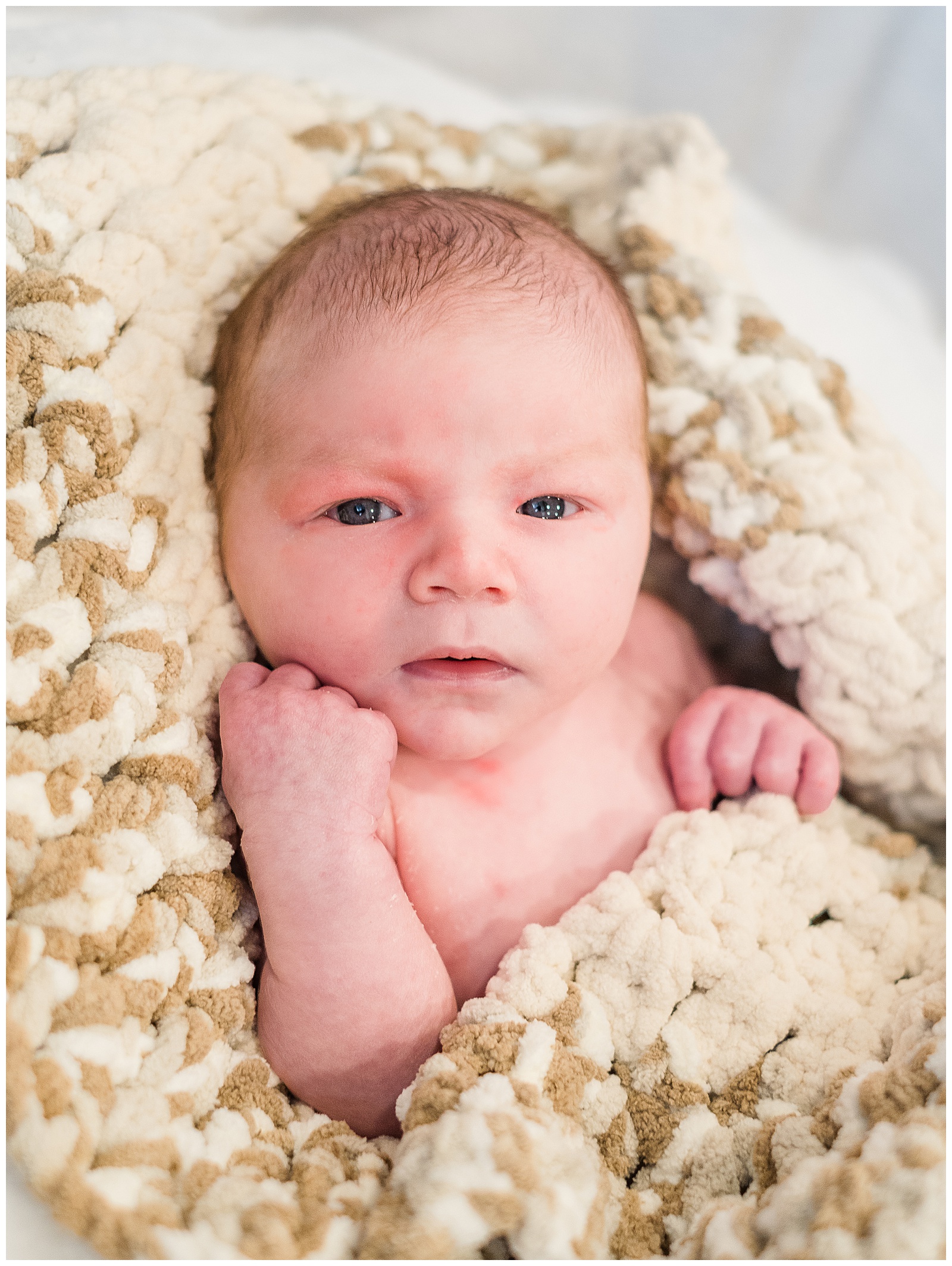 newborn family portraits for this precious little guy