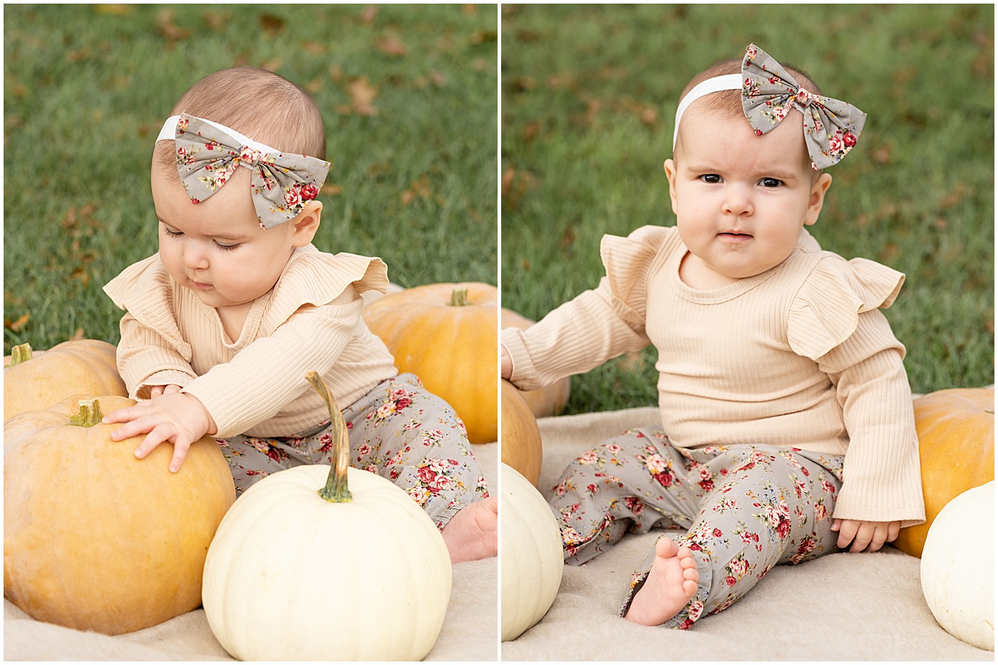 first autumn, experiencing pumpkins