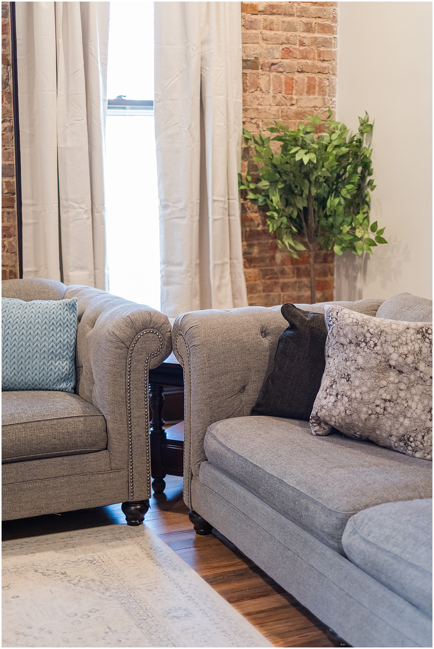 couches in apartment with plant in background